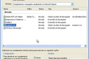 Complemento no Internet Explorer (Foto: Reprodução)