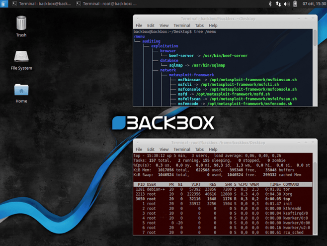 XFCE no BackBox (Reprodução/BackBox)